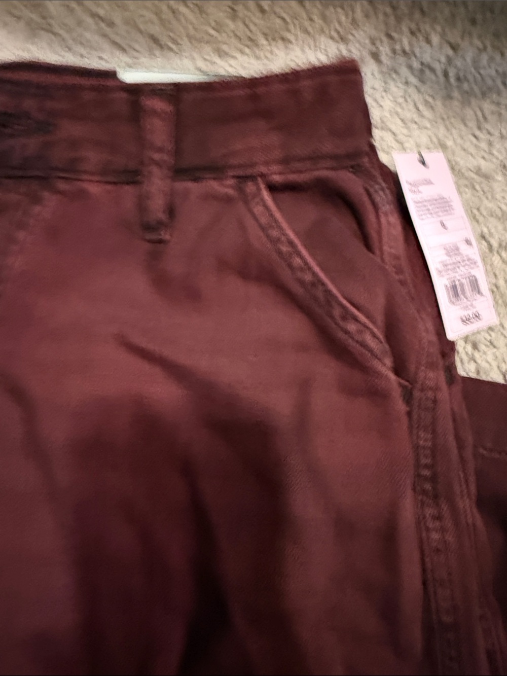 wild fable Burgundy Cargo Pants - Picture 5 of 14